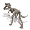 EXCAVA UN DINOSAURIO T-REX